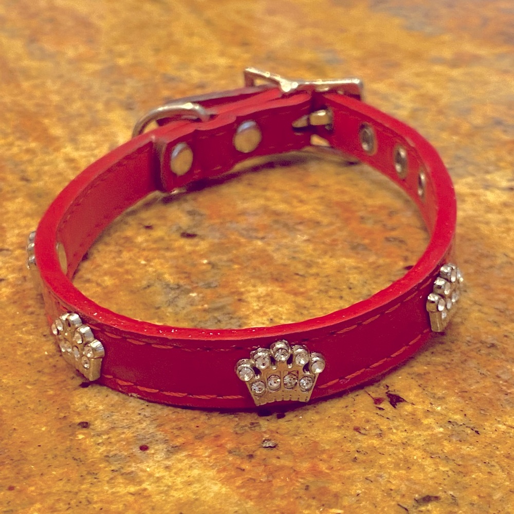 Small red dog collar with crystal paw design